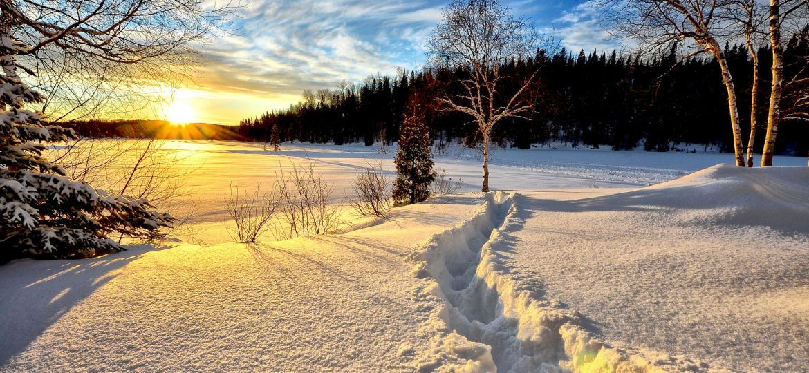 winter-landscape-636634_1920