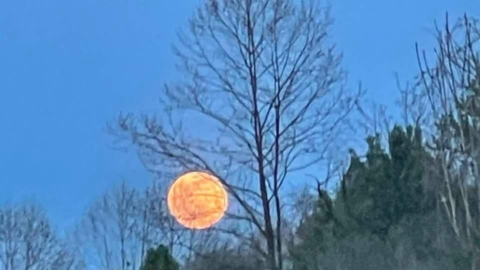 Tennessee Moon