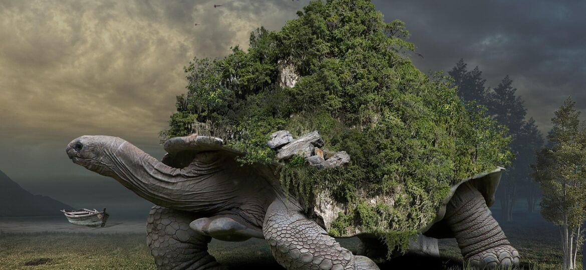 turtle-6995730_1280